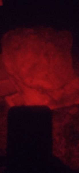20220407_205451.jpg