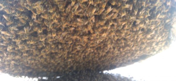 20220413_124556.jpg