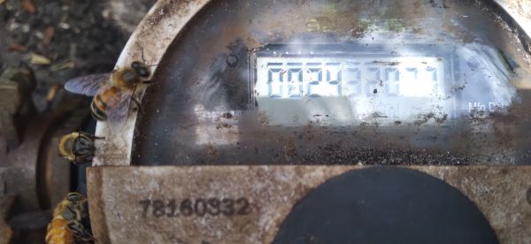 20220415_123945.jpg