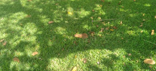 20220416_103550.jpg