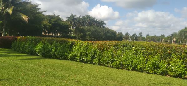 20220416_103553.jpg