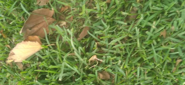 20220416_104243.jpg