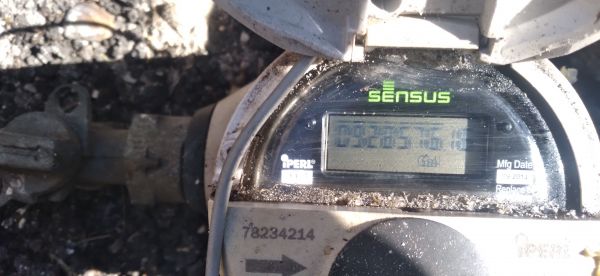 20220419_094047.jpg