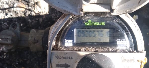 20220419_094052.jpg