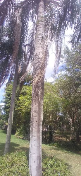 20220421_113732.jpg