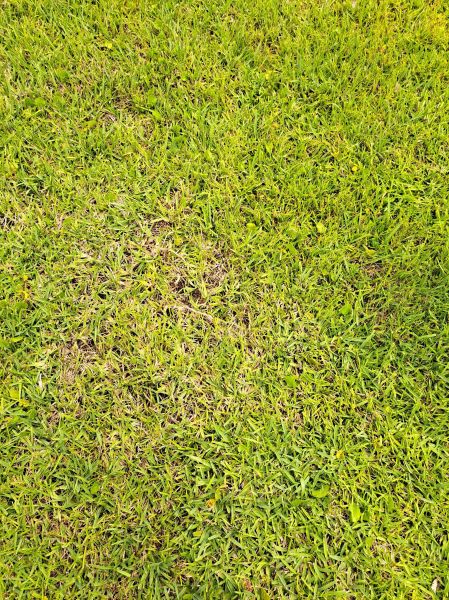 20220523_111809.jpg