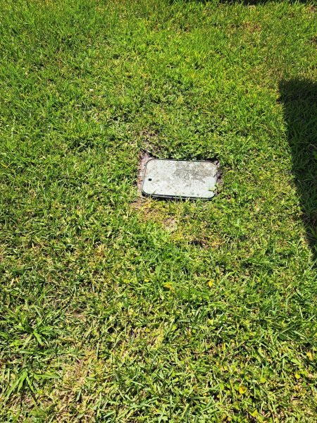 20220528_112653.jpg