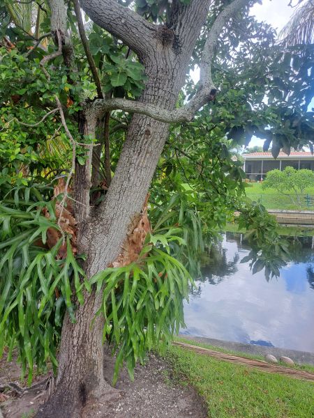 20220610_121029.jpg