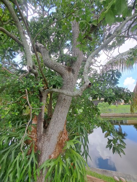 20220610_121115.jpg