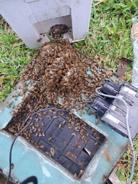 20220623_152639.jpg