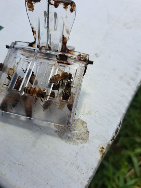 20220623_152808.jpg