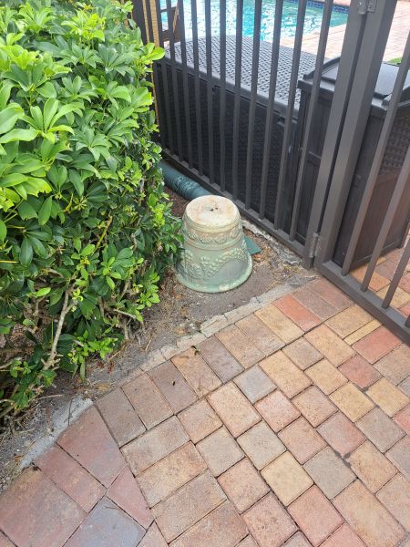 20220629_125911.jpg