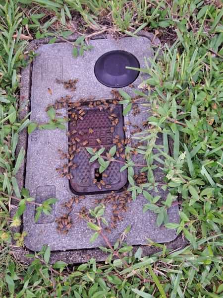 20220715_174306.jpg