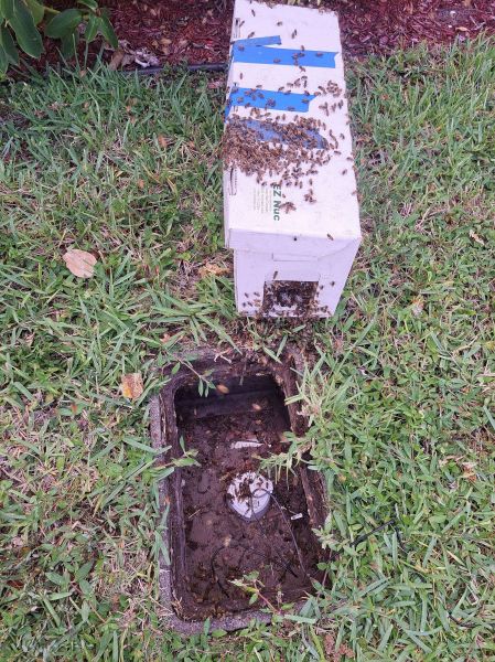 20220715_180933.jpg