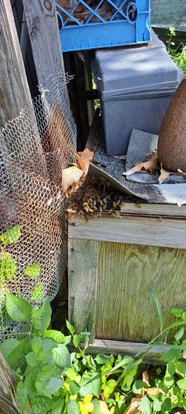 20220722_104224.jpg