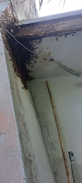 20220725_111610.jpg