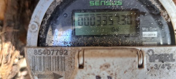 20220804_105325.jpg