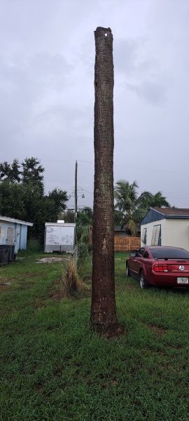 20220815_175554.jpg