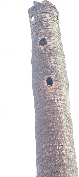 20220815_175611.jpg
