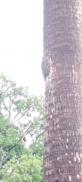20220815_175615.jpg