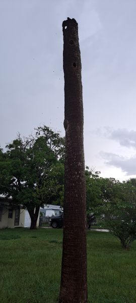 20220815_175622.jpg