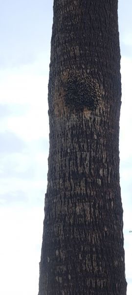 20220815_175648.jpg
