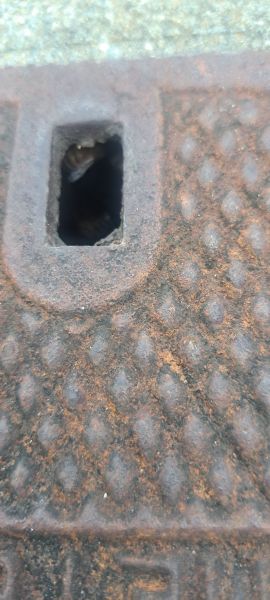 20220816_185808.jpg
