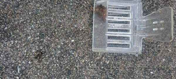 20220816_190828.jpg