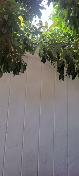 20220831_143928.jpg
