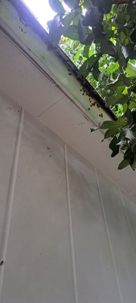 20220831_143947.jpg