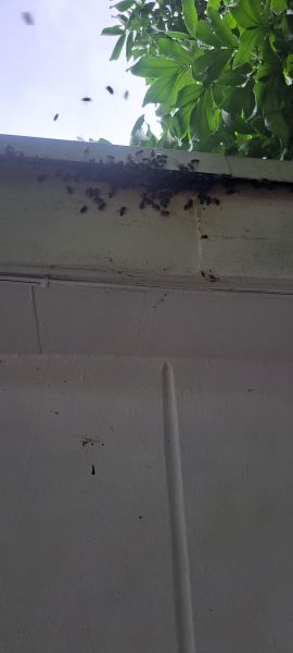 20220831_144514.jpg