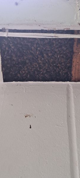 20220831_150008.jpg
