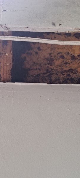 20220831_150011.jpg