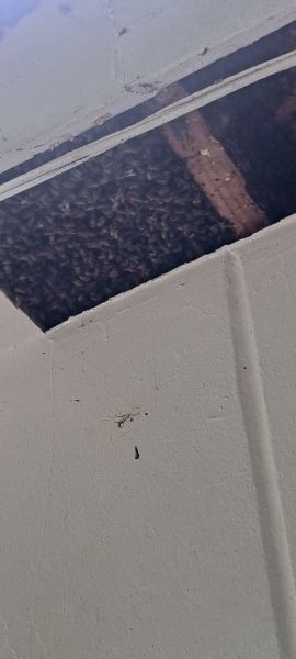20220831_150019.jpg