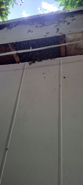 20220831_153049.jpg