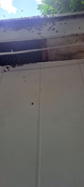 20220831_153111.jpg