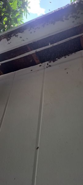 20220831_153113.jpg