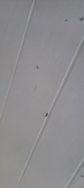 20220831_154218.jpg