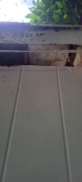 20220831_154541.jpg