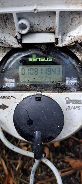 20220902_191154.jpg