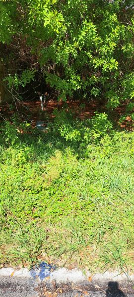 20220903_103213.jpg