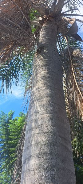 20220907_163242.jpg