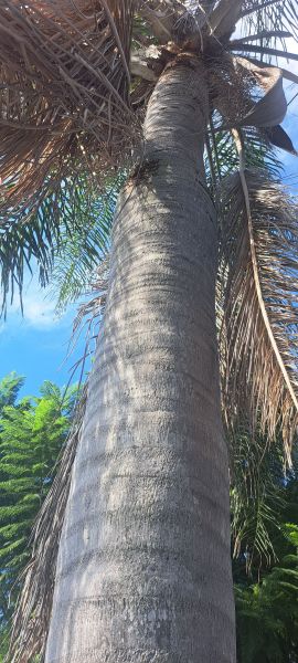 20220907_163245.jpg