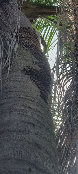 20220907_163332.jpg