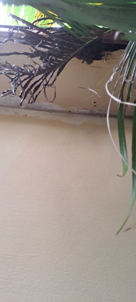 20220908_161511.jpg