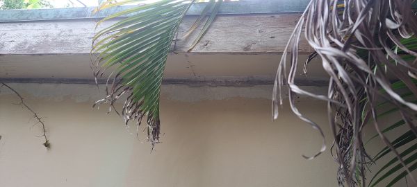 20220908_161553.jpg