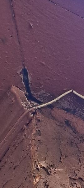 20220922_171117.jpg