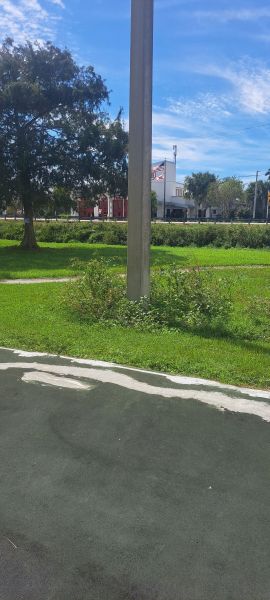 20221011_141624.jpg