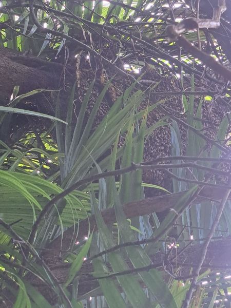 20221031_093135.jpg
