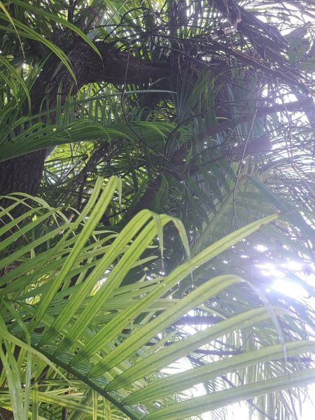 20221031_093140.jpg